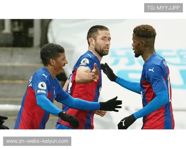 水晶宫0-2纽卡，佳夫混战破门锁定胜局