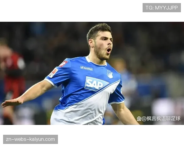 霍芬海姆1-1战平达姆施塔特，客队拿到保级路上宝贵一分